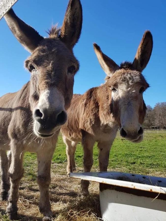 Le tipi Arc-en-Ciel au bord de la rivière Hotel Mios Esterno foto